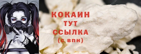 молекула духа Новодвинск