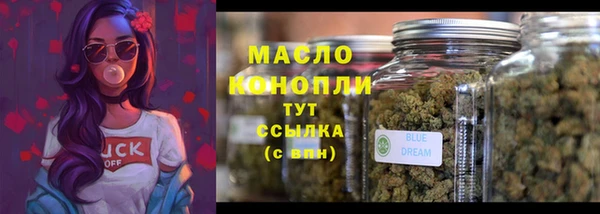 молекула духа Новодвинск