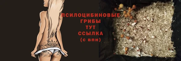 молекула духа Новодвинск