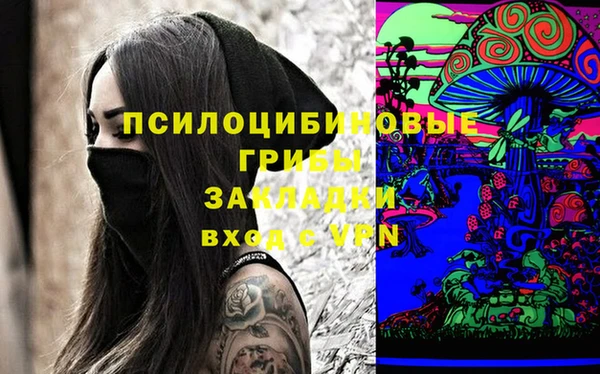 молекула духа Новодвинск