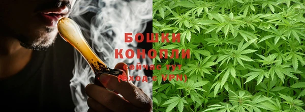 молекула духа Новодвинск