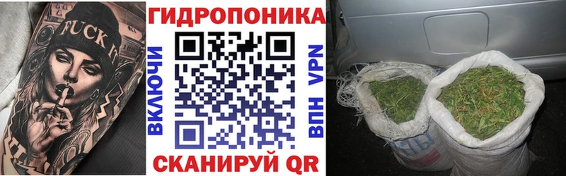 Конопля ГИДРОПОН  Купить  Новотитаровская 